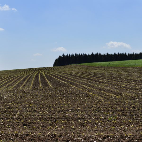 Nikon Bouillon 05-2013 (8)