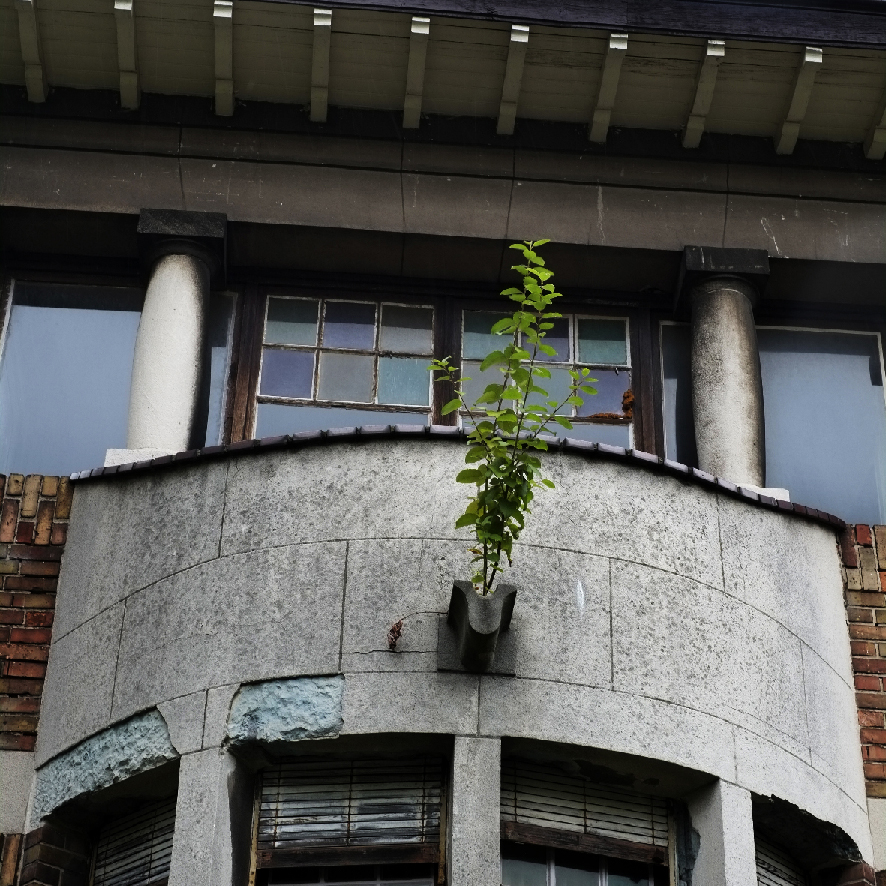 Bxl 09-2015 Fuji (1)