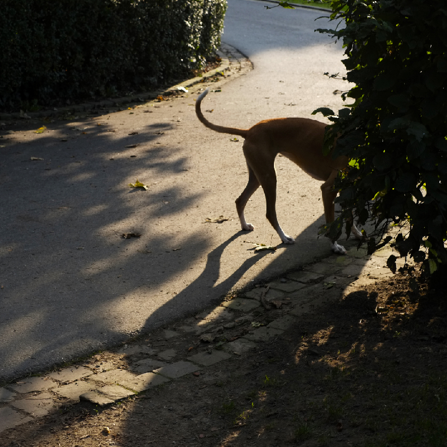 Bxl-Waterloo-Jodoigne 05-10-2014 (36)